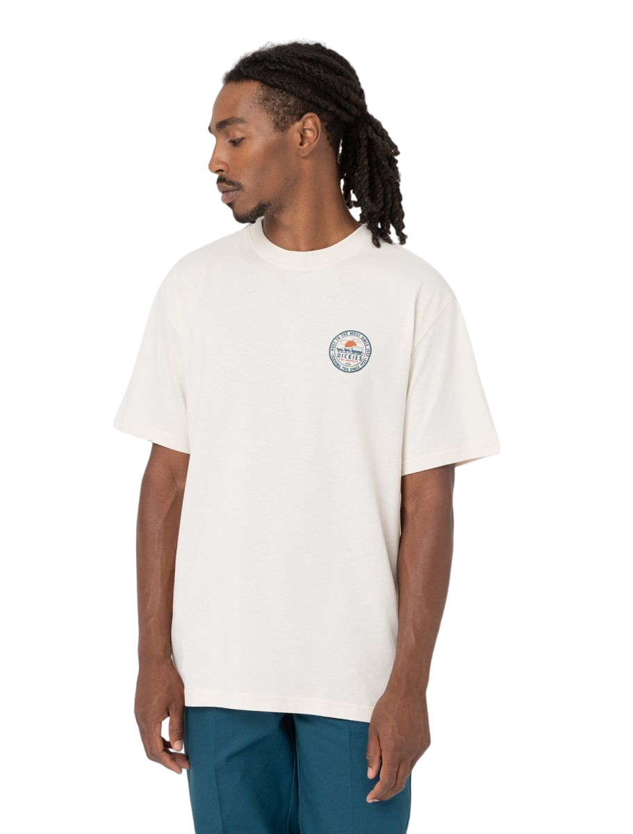 Dickies Greensburg T-Shirt - Whitecap Grey