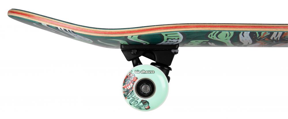 Birdhouse Stage 3 Armanto Favourites Green Skateboard - 7.75"