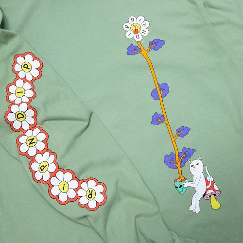 Camiseta de manga larga a base de plantas RIPNDIP - Pistacho